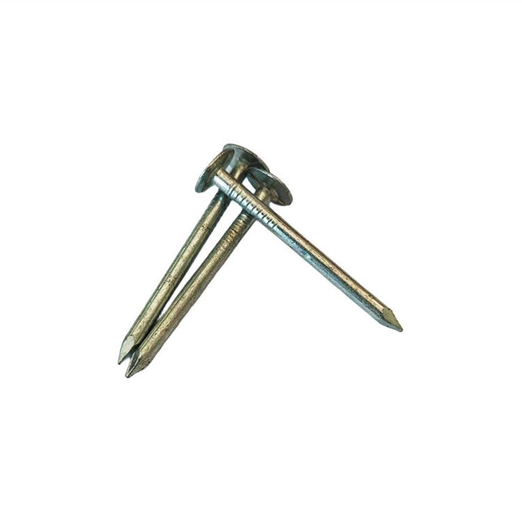 EG Roofing Nail factory